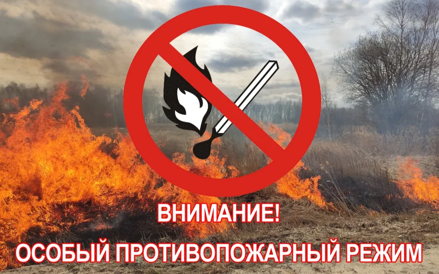 На территории Нижегородской области установлен особый противопожарный режим